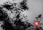 Image of Viet Cong soldiers Vietnam, 1967, second 27 stock footage video 65675038717
