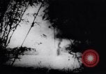 Image of Viet Cong soldiers Vietnam, 1967, second 38 stock footage video 65675038717