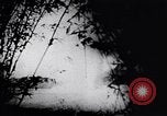 Image of Viet Cong soldiers Vietnam, 1967, second 39 stock footage video 65675038717