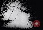 Image of Viet Cong soldiers Vietnam, 1967, second 40 stock footage video 65675038717