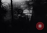 Image of Viet Cong soldiers Vietnam, 1967, second 58 stock footage video 65675038717