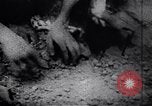 Image le Viet Cong soldats Vietnam, 1967, de la seconde 55 séquences d'archives historiques vidéo 65675038718