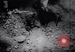 Image le Viet Cong soldats Vietnam, 1967, de la seconde 58 séquences d'archives historiques vidéo 65675038718