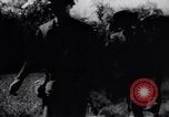 Standbild Viet Cong Soldaten Vietnam, 1967, aus Sekunde 8 historischem Filmmaterial Videoclip 65675038719