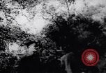 Standbild Viet Cong Soldaten Vietnam, 1967, aus Sekunde 18 historischem Filmmaterial Videoclip 65675038719