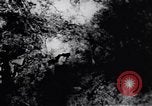 Standbild Viet Cong Soldaten Vietnam, 1967, aus Sekunde 26 historischem Filmmaterial Videoclip 65675038719