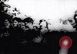 Standbild Viet Cong Soldaten Vietnam, 1967, aus Sekunde 59 historischem Filmmaterial Videoclip 65675038719