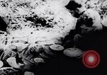 Standbild amerikanischen Gefangenen Vietnam, 1967, aus Sekunde 16 historischem Filmmaterial Videoclip 65675038720