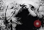 Image le Viet Cong soldats Vietnam, 1967, de la seconde 10 séquences d'archives historiques vidéo 65675038721