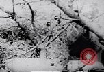 Image le Viet Cong soldats Vietnam, 1967, de la seconde 26 séquences d'archives historiques vidéo 65675038721