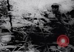 Image le Viet Cong soldats Vietnam, 1967, de la seconde 34 séquences d'archives historiques vidéo 65675038721