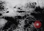 Image le Viet Cong soldats Vietnam, 1967, de la seconde 35 séquences d'archives historiques vidéo 65675038721