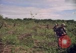 Standbild 25th Infantry Division Cuchi Süd Vietnam, 1966, aus Sekunde 10 historischem Filmmaterial Videoclip 65675038722