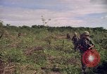 Standbild 25th Infantry Division Cuchi Süd Vietnam, 1966, aus Sekunde 11 historischem Filmmaterial Videoclip 65675038722