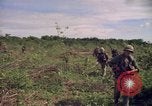 Standbild 25th Infantry Division Cuchi Süd Vietnam, 1966, aus Sekunde 12 historischem Filmmaterial Videoclip 65675038722