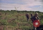 Standbild 25th Infantry Division Cuchi Süd Vietnam, 1966, aus Sekunde 13 historischem Filmmaterial Videoclip 65675038722