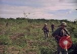 Standbild 25th Infantry Division Cuchi Süd Vietnam, 1966, aus Sekunde 14 historischem Filmmaterial Videoclip 65675038722
