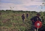 Standbild 25th Infantry Division Cuchi Süd Vietnam, 1966, aus Sekunde 15 historischem Filmmaterial Videoclip 65675038722