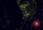 Standbild 25th Infantry Division Cuchi Süd Vietnam, 1966, aus Sekunde 27 historischem Filmmaterial Videoclip 65675038722
