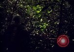 Standbild 25th Infantry Division Cuchi Süd Vietnam, 1966, aus Sekunde 28 historischem Filmmaterial Videoclip 65675038722