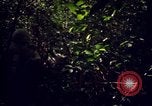 Standbild 25th Infantry Division Cuchi Süd Vietnam, 1966, aus Sekunde 29 historischem Filmmaterial Videoclip 65675038722
