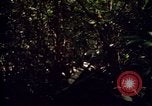 Standbild 25th Infantry Division Cuchi Süd Vietnam, 1966, aus Sekunde 33 historischem Filmmaterial Videoclip 65675038722