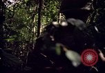 Standbild 25th Infantry Division Cuchi Süd Vietnam, 1966, aus Sekunde 38 historischem Filmmaterial Videoclip 65675038722