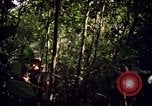 Standbild 25th Infantry Division Cuchi Süd Vietnam, 1966, aus Sekunde 40 historischem Filmmaterial Videoclip 65675038722