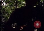 Standbild 25th Infantry Division Cuchi Süd Vietnam, 1966, aus Sekunde 46 historischem Filmmaterial Videoclip 65675038722