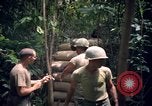 Standbild Wahiawa Betrieb Cuchi Süd Vietnam, 1966, aus Sekunde 13 historischem Filmmaterial Videoclip 65675038723