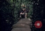 Standbild Wahiawa Betrieb Cuchi Süd Vietnam, 1966, aus Sekunde 41 historischem Filmmaterial Videoclip 65675038723