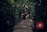 Standbild Wahiawa Betrieb Cuchi Süd Vietnam, 1966, aus Sekunde 48 historischem Filmmaterial Videoclip 65675038723