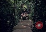 Standbild Wahiawa Betrieb Cuchi Süd Vietnam, 1966, aus Sekunde 49 historischem Filmmaterial Videoclip 65675038723