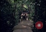 Standbild Wahiawa Betrieb Cuchi Süd Vietnam, 1966, aus Sekunde 50 historischem Filmmaterial Videoclip 65675038723