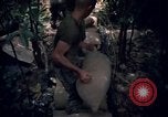 Standbild Wahiawa Betrieb Cuchi Süd Vietnam, 1966, aus Sekunde 52 historischem Filmmaterial Videoclip 65675038723