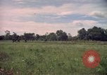 Standbild Wahiawa Betrieb Cuchi Süd Vietnam, 1966, aus Sekunde 56 historischem Filmmaterial Videoclip 65675038724