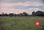 Standbild Wahiawa Betrieb Cuchi Süd Vietnam, 1966, aus Sekunde 57 historischem Filmmaterial Videoclip 65675038724