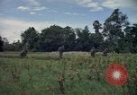 Standbild Wahiawa Betrieb Cuchi Süd Vietnam, 1966, aus Sekunde 41 historischem Filmmaterial Videoclip 65675038725
