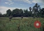 Standbild Wahiawa Betrieb Cuchi Süd Vietnam, 1966, aus Sekunde 42 historischem Filmmaterial Videoclip 65675038725