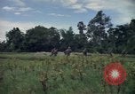 Standbild Wahiawa Betrieb Cuchi Süd Vietnam, 1966, aus Sekunde 44 historischem Filmmaterial Videoclip 65675038725