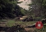 Standbild Wahiawa Betrieb Cuchi Süd Vietnam, 1966, aus Sekunde 12 historischem Filmmaterial Videoclip 65675038726