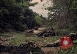 Standbild Wahiawa Betrieb Cuchi Süd Vietnam, 1966, aus Sekunde 13 historischem Filmmaterial Videoclip 65675038726