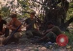 Immagine di 101ª Divisione aviotrasportata in Cambogia Se San Cambogia, 1970, secondo 27 filmato di repertorio 65675038729