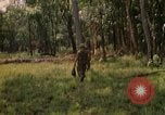 Immagine di 101ª Divisione aviotrasportata in Cambogia Se San Cambogia, 1970, secondo 45 filmato di repertorio 65675038729
