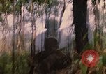 Immagine di 101ª Divisione aviotrasportata in Cambogia Se San Cambogia, 1970, secondo 59 filmato di repertorio 65675038729