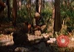 Immagine di 101ª Divisione aviotrasportata in Cambogia Se San Cambogia, 1970, secondo 60 filmato di repertorio 65675038729