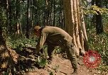 Standbild 101st Airborne Division Se San Kambodscha, 1970, aus Sekunde 11 historischem Filmmaterial Videoclip 65675038730