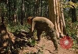 Standbild 101st Airborne Division Se San Kambodscha, 1970, aus Sekunde 12 historischem Filmmaterial Videoclip 65675038730
