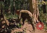 Standbild 101st Airborne Division Se San Kambodscha, 1970, aus Sekunde 13 historischem Filmmaterial Videoclip 65675038730