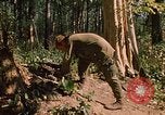 Standbild 101st Airborne Division Se San Kambodscha, 1970, aus Sekunde 16 historischem Filmmaterial Videoclip 65675038730